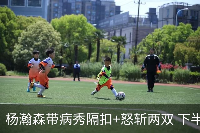 杨瀚森带病秀隔扣+怒斩两双 下半场进攻灵感井喷