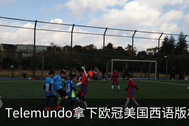 Telemundo拿下欧冠美国西语版权 2027-28赛季起覆盖三大杯与青年联赛